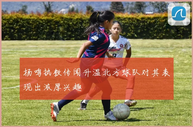 杨鸣执教传闻升温北方球队对其表现出浓厚兴趣