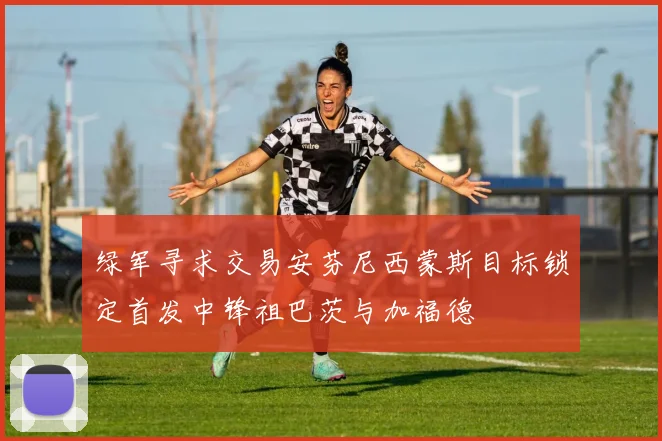 绿军寻求交易安芬尼西蒙斯目标锁定首发中锋祖巴茨与加福德