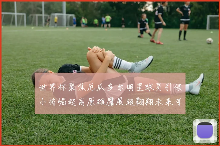 世界杯聚焦厄瓜多尔明星球员引领小将崛起高原雄鹰展翅翱翔未来可期