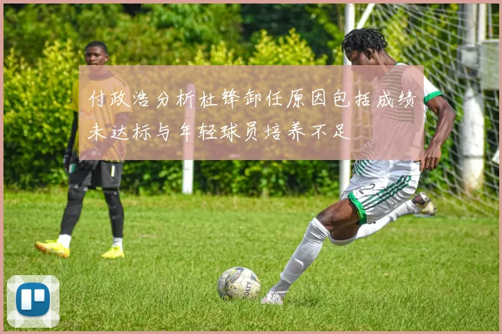 付政浩分析杜锋卸任原因包括成绩未达标与年轻球员培养不足